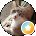 Jacquelyn Trombatore Avatar