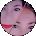 Meliana Dutrieux Avatar