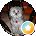 Lynn Venderley Avatar