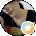 Jodi Taylor Avatar