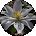 Donna Edwards Avatar