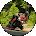 Greg Jenkins Avatar