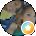 Ly Song Avatar