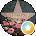 crystal waddell Avatar