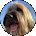 Tamara Lillis Avatar
