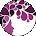 Yvette Dawn Speight Avatar