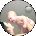 Liz Esteves Avatar