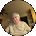 Norma Hansen Avatar