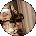 Antonia Avatar