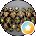 Social Media Avatar