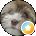 Kathy Moon Avatar