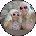 Luz Caro Avatar