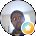 Ricardo Strader Avatar