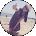 aina lu Avatar