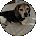 Shirley Avatar