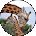 Nicole Mulvihill Avatar
