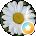 Natalie Dawn Avatar