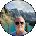 Robert Sligh Avatar