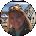Deborah Linn Avatar