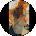 Cassie Stucker Avatar