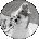 Amy Paul Avatar