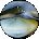 Peters Anomaly Avatar