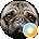 Heyitsros Avatar