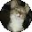 Holly Kelley Avatar