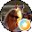 Mary Pat Raimondi Bertacchi Avatar