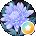 lee R Avatar