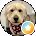 Joe Bellott Avatar