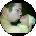 Sean Dougherty Avatar