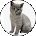 Mary Grace Inobio Avatar