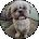 Lisa Armstrong Avatar