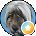 Luke D Avatar