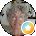 Veronica DeMoss Avatar