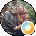 Ally Avatar