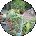 Dean Mclendon Avatar