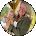 taige Haines Avatar