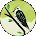 Resa B Avatar