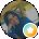 Shayna Cesar Avatar