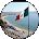 Xochil M Avatar