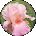 Deborah Corbin Avatar