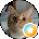 Berenice Marrufo Avatar
