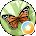 Vanessa Bing Avatar