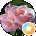 hermoso simplemente hermoso .alvarez Avatar