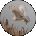 Darlene Holman Avatar