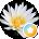 Debbie Johnson Avatar