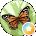 rita Avatar