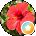 Faith Wiggins Avatar
